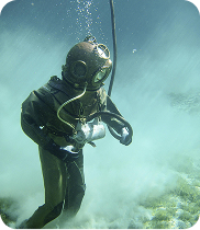 Diving operations